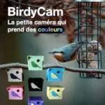 BirdyCam couleur , caméra pour mangeoire oiseaux