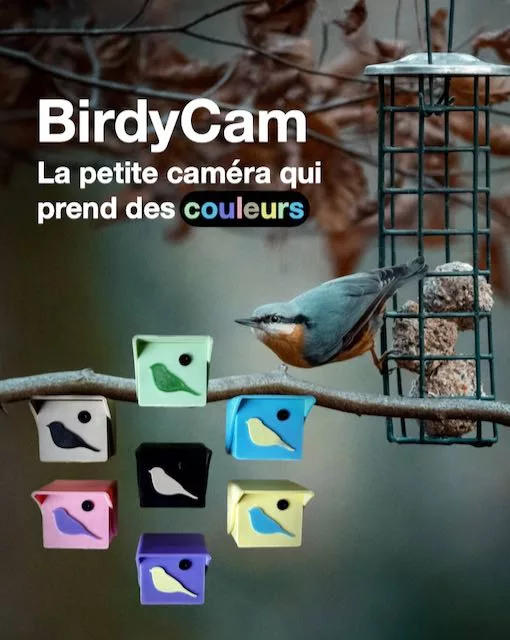 BirdyCam couleur , caméra pour mangeoire oiseaux